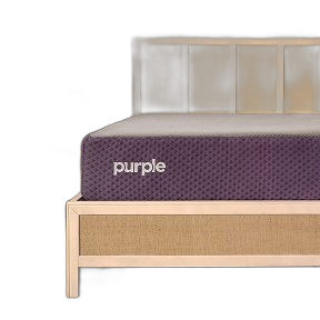 Purple Hybrid Premier